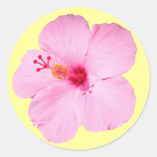 Pegatina Redonda Flor tropical Hibiscus rosa