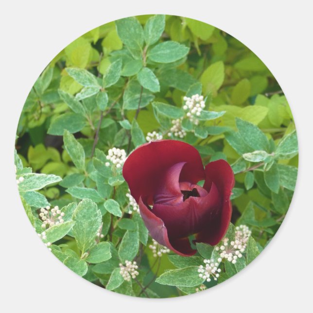 Pegatina Redonda Floral (Anverso)