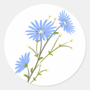 Pegatina Redonda Floral Azul Margarita Flor Bodas Margaritas
