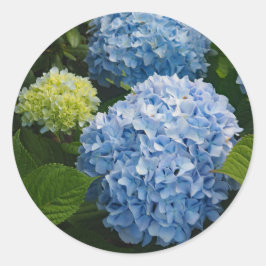Pegatina Redonda Floral Blue Hydrangea Photo