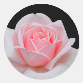 Pegatina Redonda Floral rosa elegante