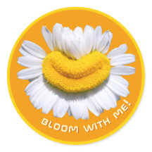 "¡florece conmigo!" Charmomilla Sonrisas Naranja