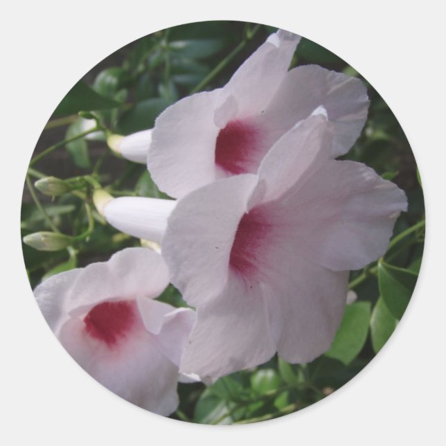 Pegatina Redonda Flores (Anverso)