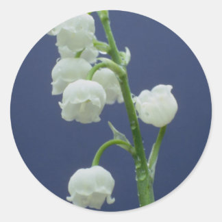 Pegatina Redonda Flores 110
