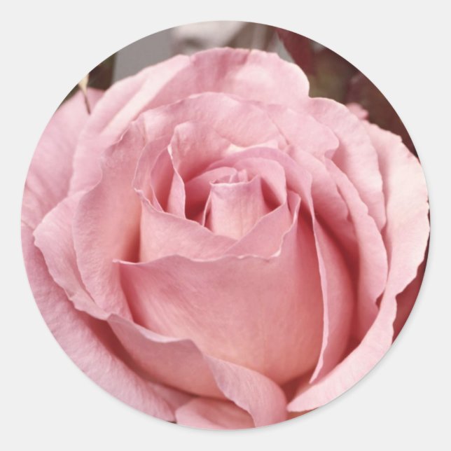 Pegatina Redonda Flores 137 (Anverso)