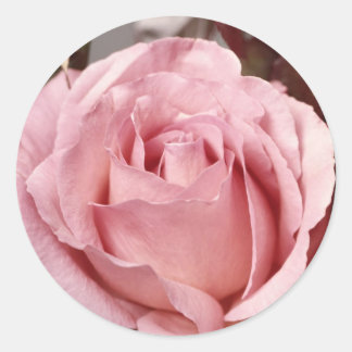 Pegatina Redonda Flores 137