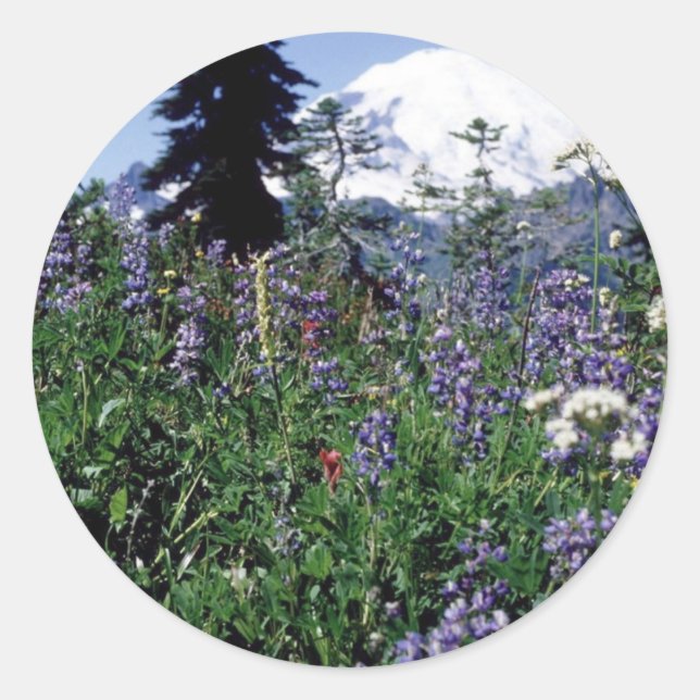 Pegatina Redonda Flores 139 (Anverso)