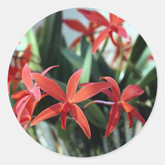 Pegatina Redonda Flores 99