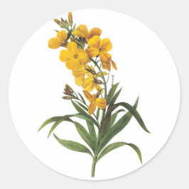 Pegatina Redonda Flores amarillas, Pierre Joseph Redouté