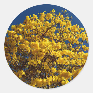 PEGATINA REDONDA FLORES AMARILLOS QUEENSLAND AUSTRALIA