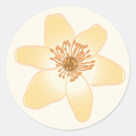 Pegatina Redonda Flores de anémona Naranja silvestre - dibujo botán
