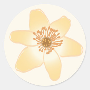 Pegatina Redonda Flores de anémona Naranja silvestre - dibujo botán