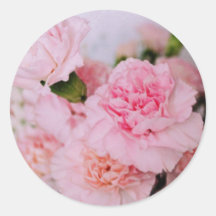 flores de clavel rosa fotografía estilo vintage