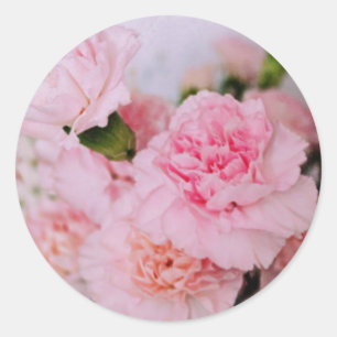 Pegatina Redonda flores de clavel rosa fotografía estilo vintage