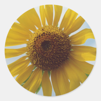 Pegatina Redonda Flores de girasol amarillo vibrantes en el cielo a