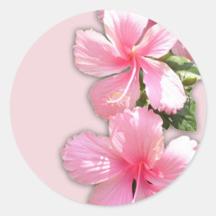 Pegatina Redonda Flores de Hibiscus en Hawái