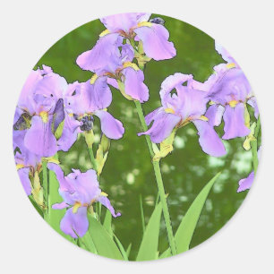 Pegatina Redonda Flores de iris
