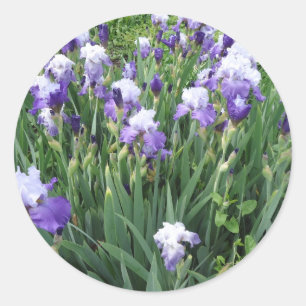 Pegatina Redonda Flores de iris