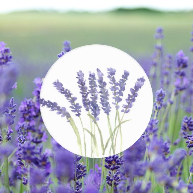Pegatina Redonda Flores de lavanda Morado Floral Acuarela (Subido por el creador)