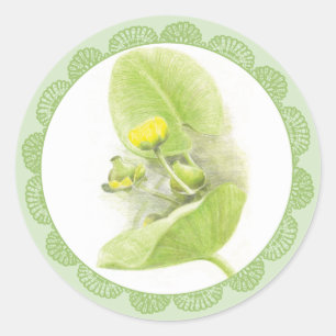 Pegatina Redonda Flores de lirios