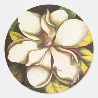 Pegatina Redonda Flores de Magnolia Vintage con Semillas