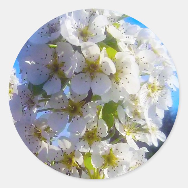 Pegatina Redonda Flores de oído (Anverso)