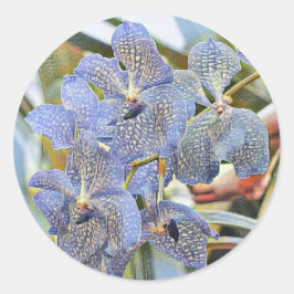 Pegatina Redonda Flores de orquídeas de color lavanda azul