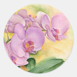 Pegatina Redonda Flores de Orquídeas de Falenopsis - Múltiples