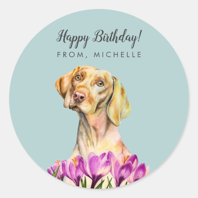 Pegatina Redonda Flores de perro de Vizsla | Cumpleaños feliz (Anverso)