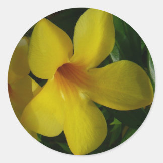 Pegatina Redonda Flores de trompeta doradas II tropicales