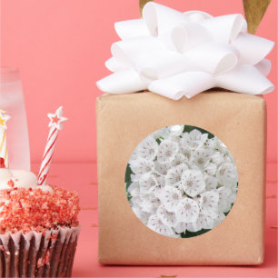 Pegatina Redonda Flores en forma de Estrella de la Montaña Blanca