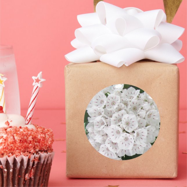 Pegatina Redonda Flores en forma de Estrella de la Montaña Blanca (Fiesta)