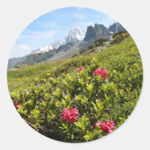 Pegatina Redonda Flores en los Alpes - Hermosas!