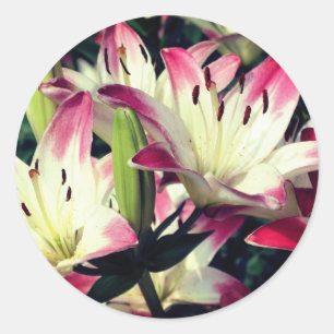 Pegatina Redonda Flores Lily sonrientes