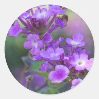 Pegatina Redonda Flores moradas