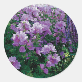 Pegatina Redonda Flores moradas de hisbiscus