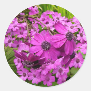 Pegatina Redonda Flores moradas de San Francisco