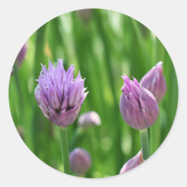 Pegatina Redonda Flores moradas Florecen