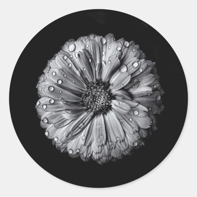 Pegatina Redonda Flores Negras Y Blancas 10 (Anverso)