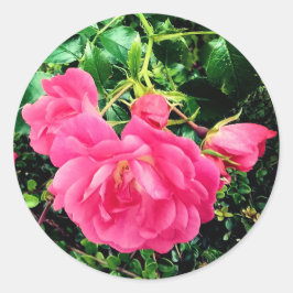 Pegatina Redonda Flores rosadas