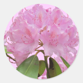 Pegatina Redonda Flores rosadas de rododendros