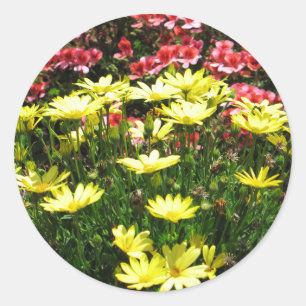 Pegatina Redonda Flores rosas y amarillas