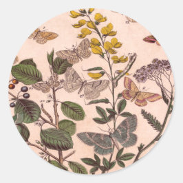 Pegatina Redonda Flores silvestres de Ilustracion floral botánico