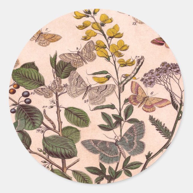 Pegatina Redonda Flores silvestres de Ilustracion floral botánico (Anverso)