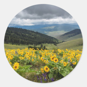 Pegatina Redonda Flores Silvestres De Primavera En Las Colinas