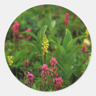 Pegatina Redonda Flores Silvestres De Verano Envuelven Un Disturbio