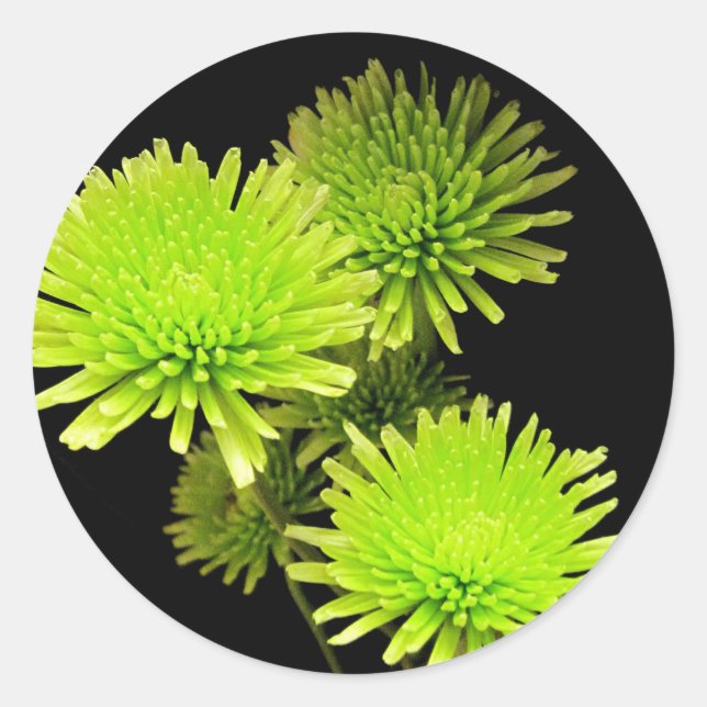Pegatina Redonda Flores verdes (Anverso)