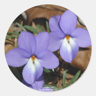 Pegatina Redonda FloresSilvestres Violeta de Pie de Pájaro III Rega
