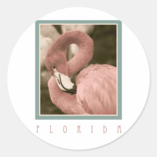 Pegatina Redonda Florida Flamingos