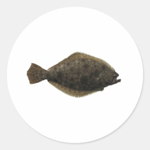 Pegatina Redonda Flounder de verano
